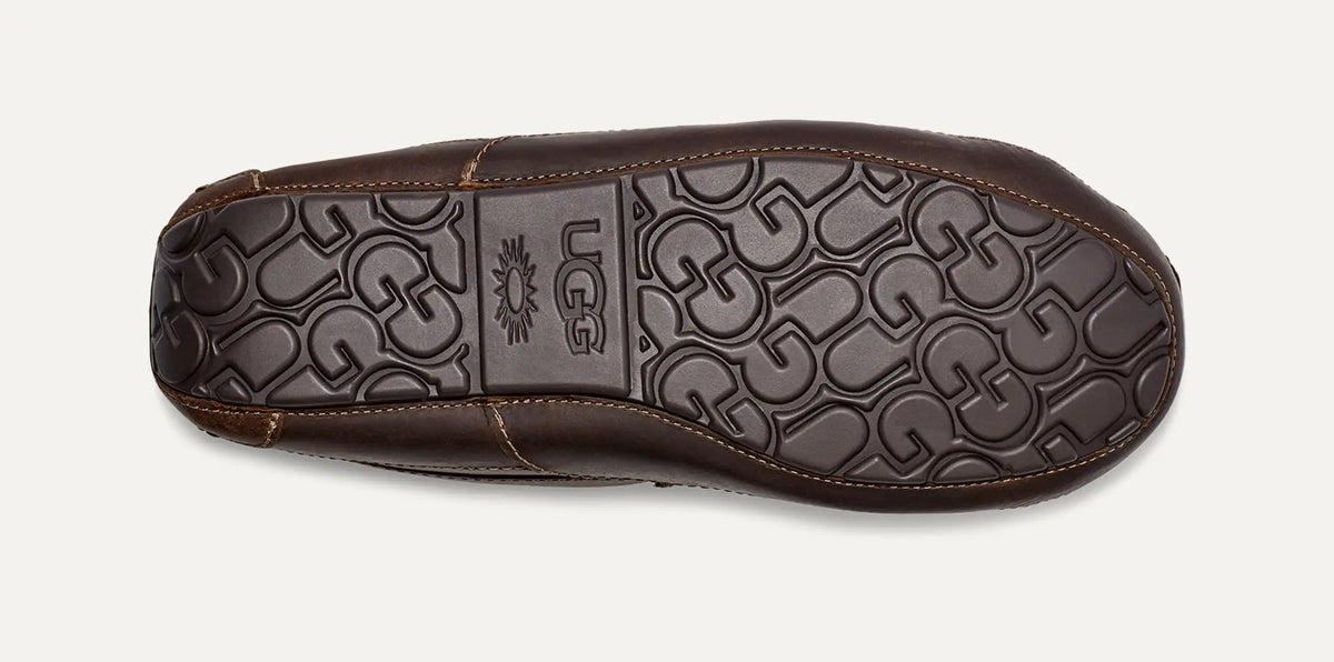 Men's Ascot