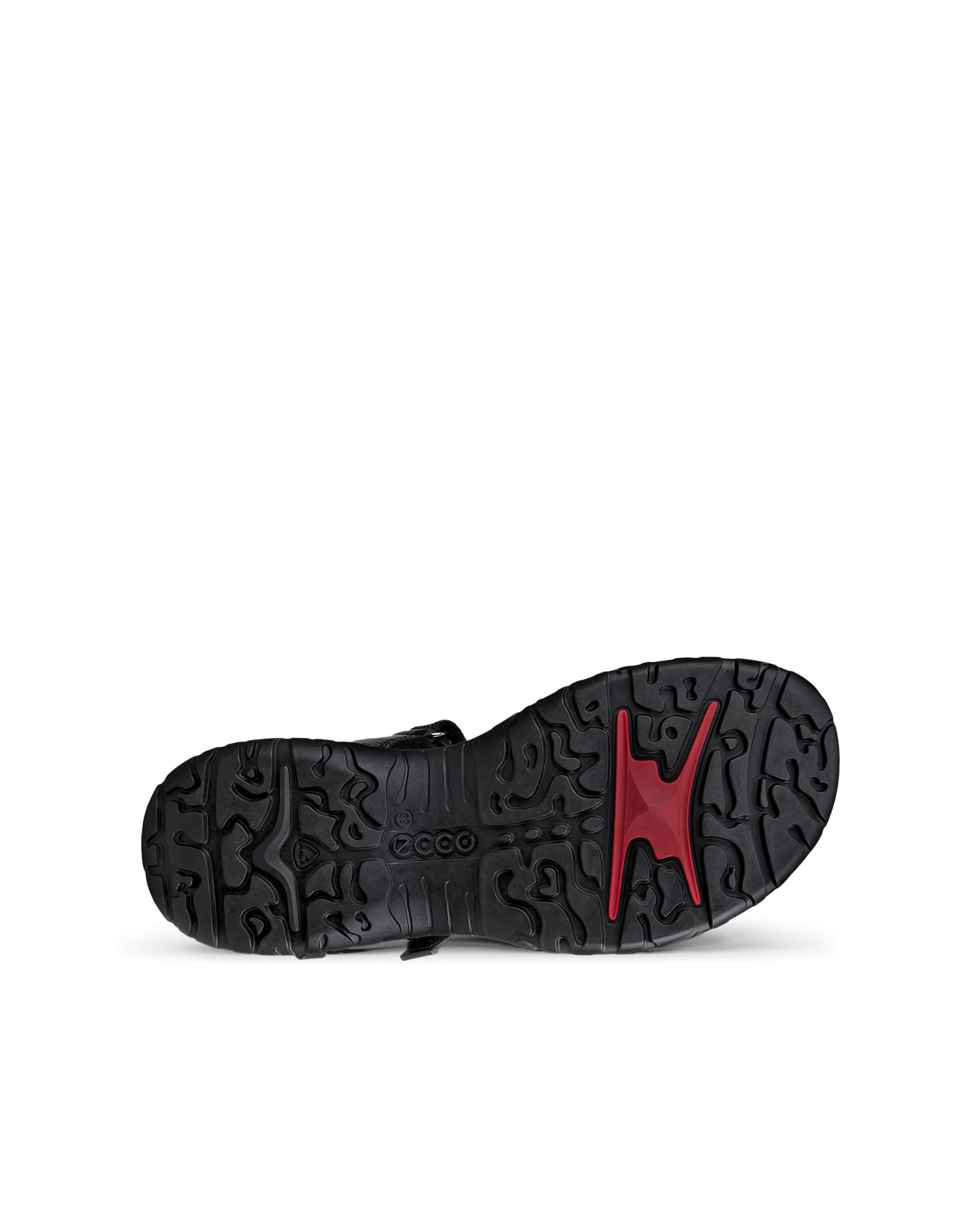 Women's Offroad Roam