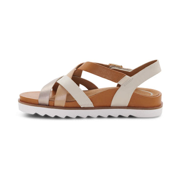 Women's Carmen