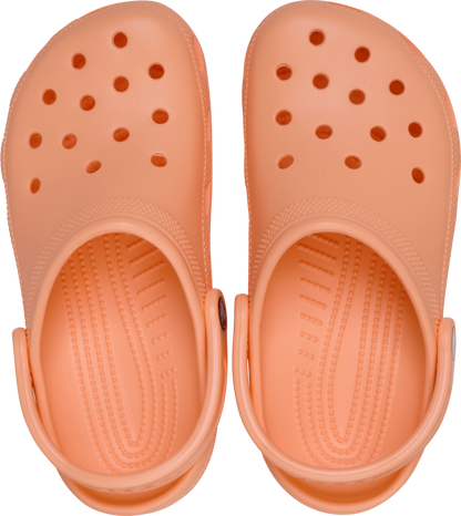 Women's Classic Clog