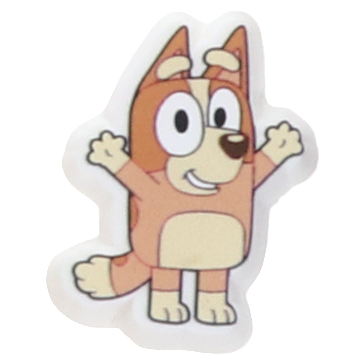 Jibbitz™ Bluey Bingo