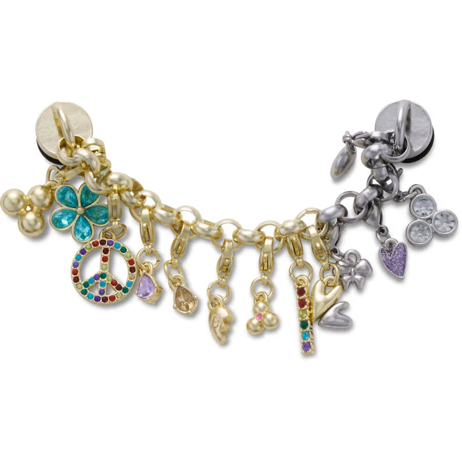 Jibbitz™ Gold Silver Adjustable Chain