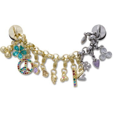 Jibbitz™ Gold Silver Adjustable Chain