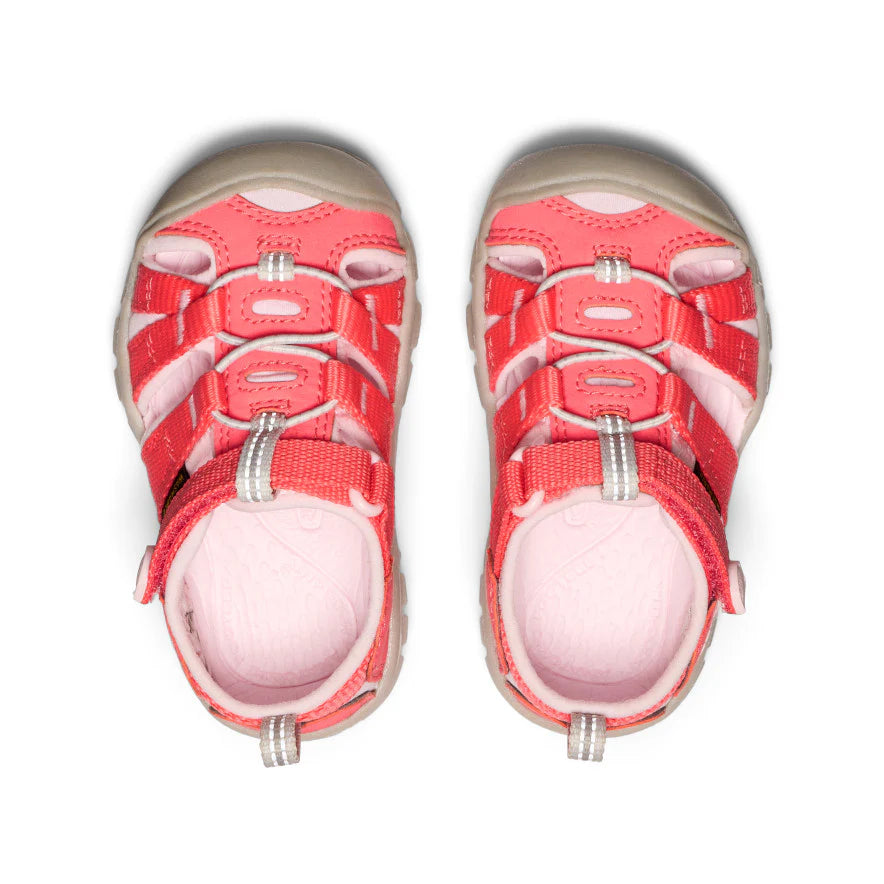 Toddlers' Seacamp II CNX