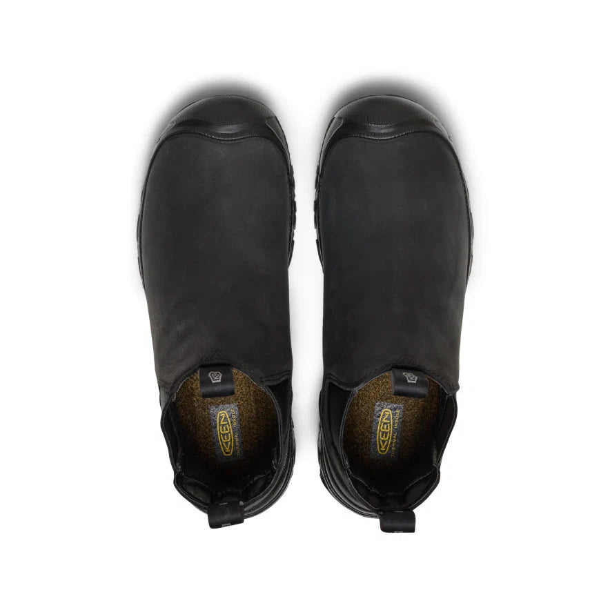 Men's Anchorage Boot IV WP