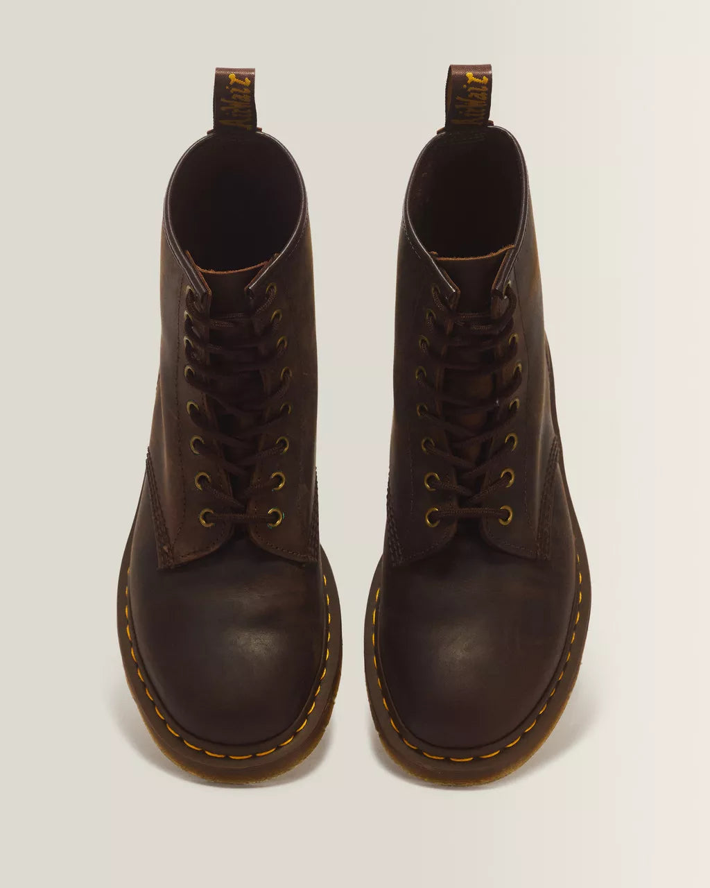 Adult 1460