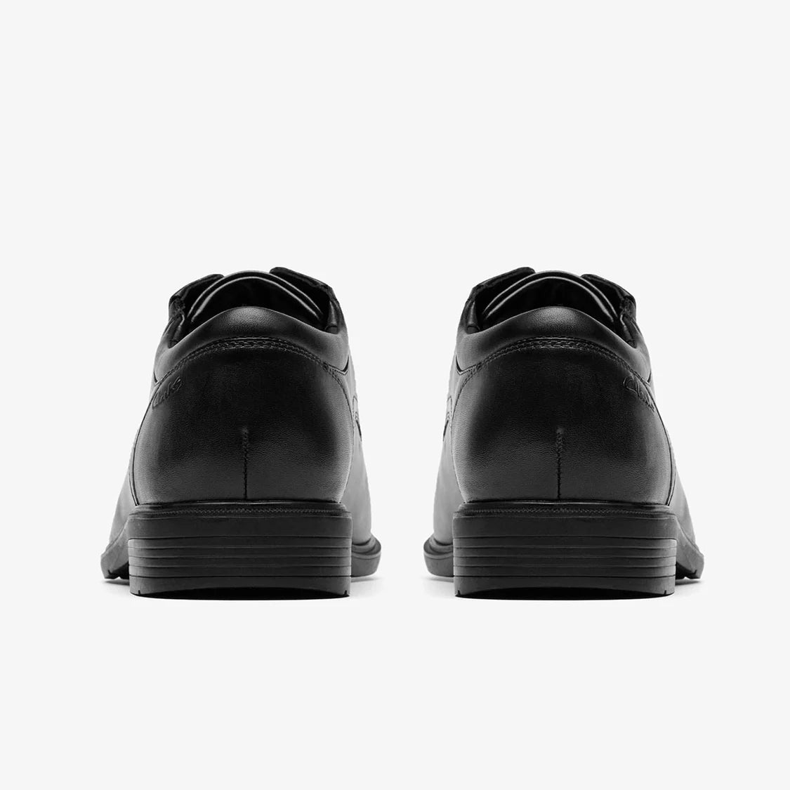 Men's Steadwell Lace