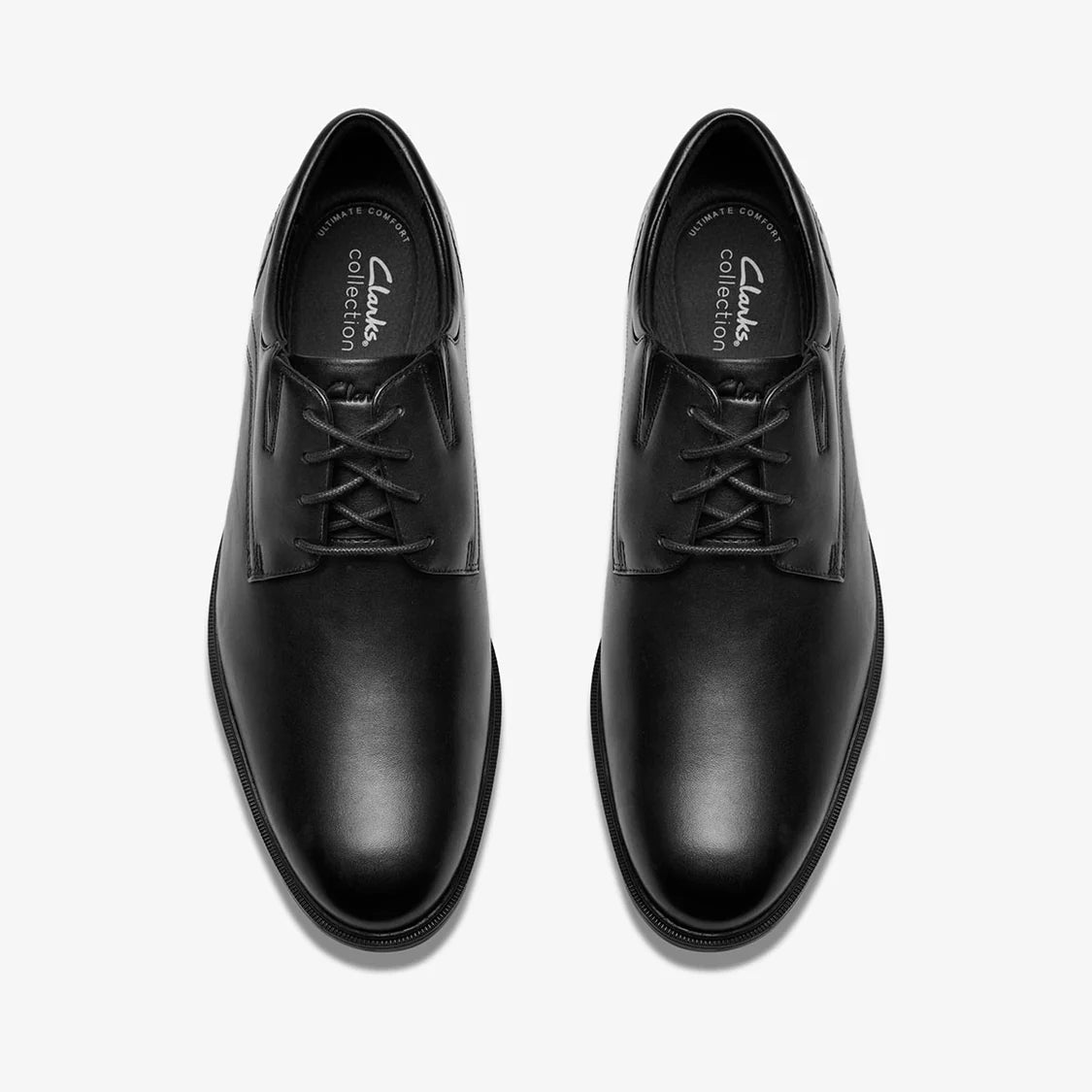 Men's Steadwell Lace