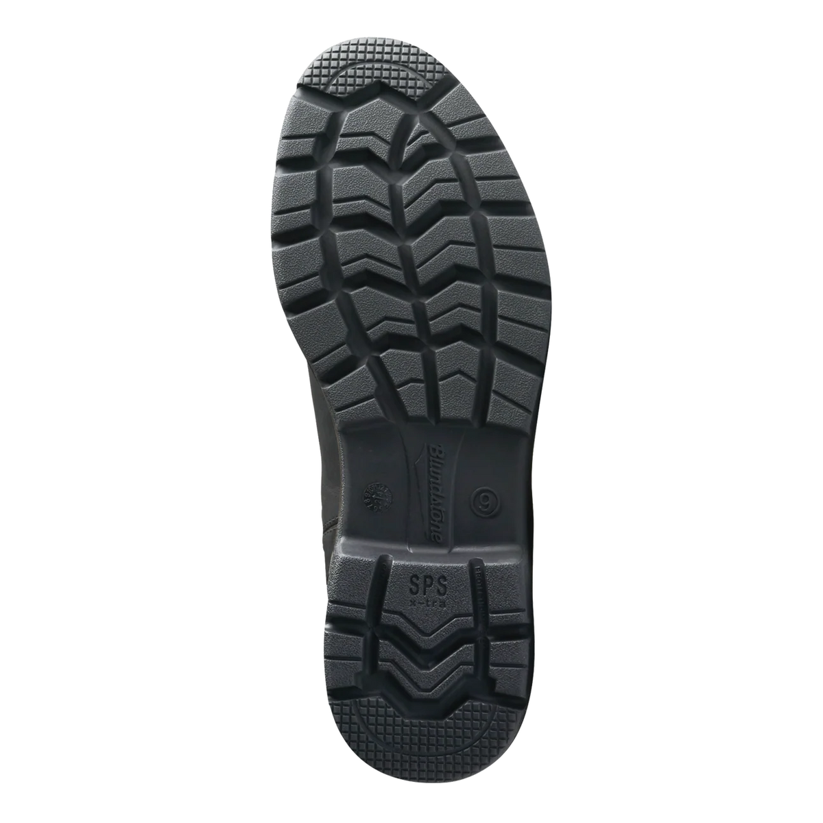 Adult #2643