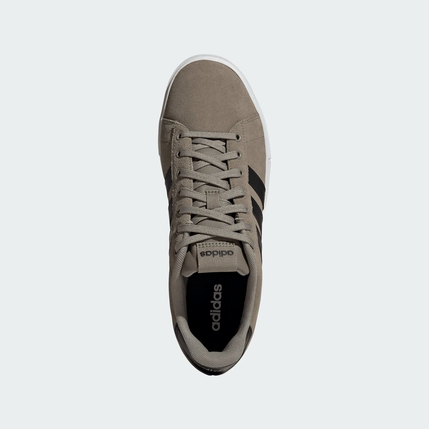 Men's Daily 4.0