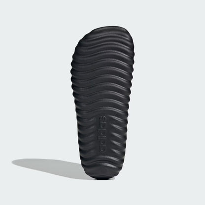 Adult Adissage 360Rec