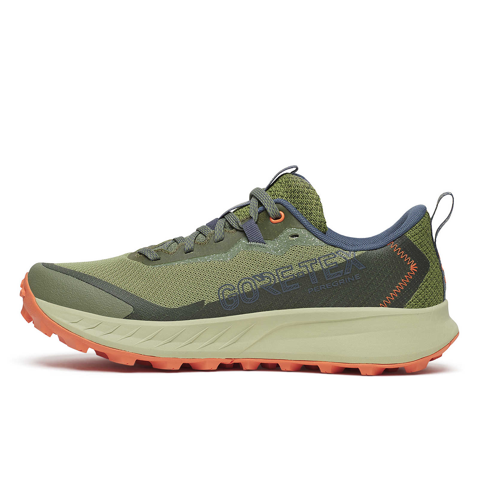 Women's Peregrine 15 GTX – Emille Shoes